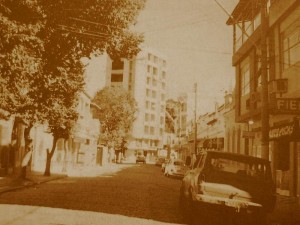 rua corenel pitta de castro