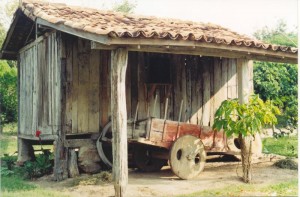 pesque e pague sao joao 