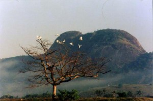 serra da bolivia 