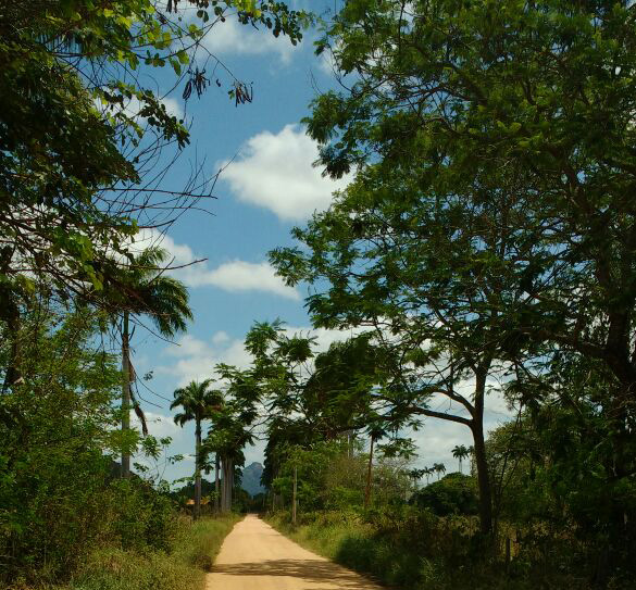 Vista em frente ao Túnel