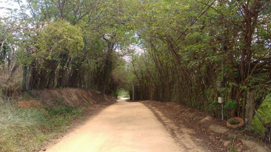 Tunel do Campo de Semente